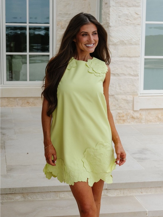 These Three Dresses & Skirts - These Three Layla Embroidered Mini Dress Chartreuse